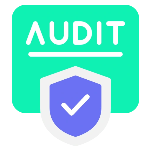 Coding Accuracy Audit - Medical Billing Review Audit Icon